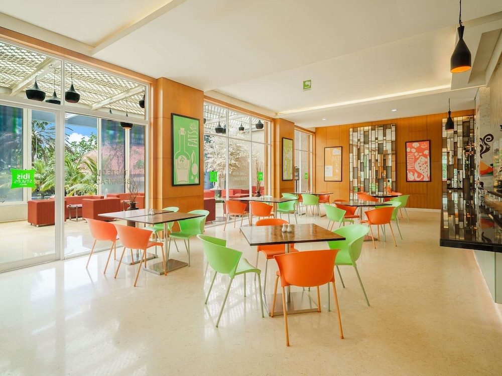 Ibis Styles Solo 54/66
