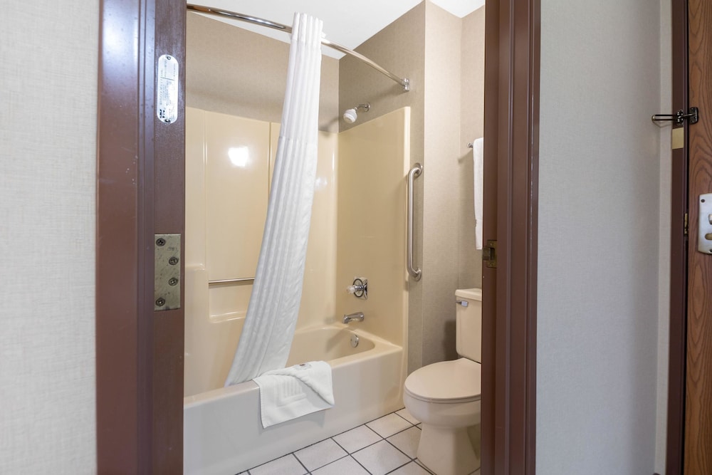 Comfort Inn Iron Mountain North 18/36