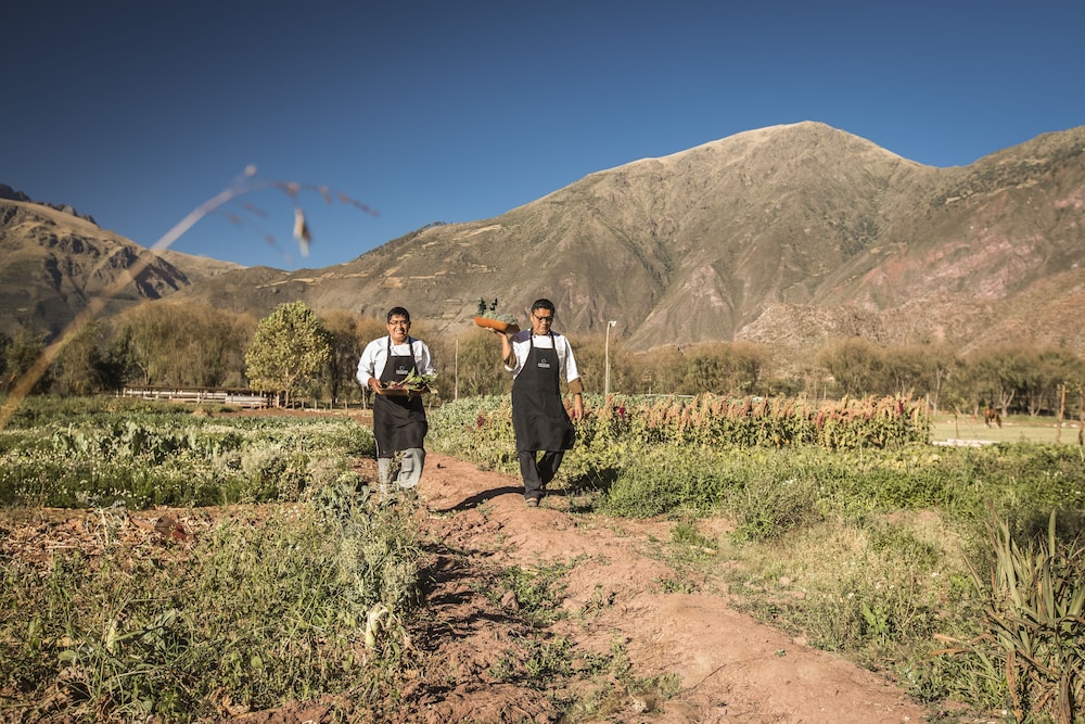 Aranwa Sacred Valley 69/76