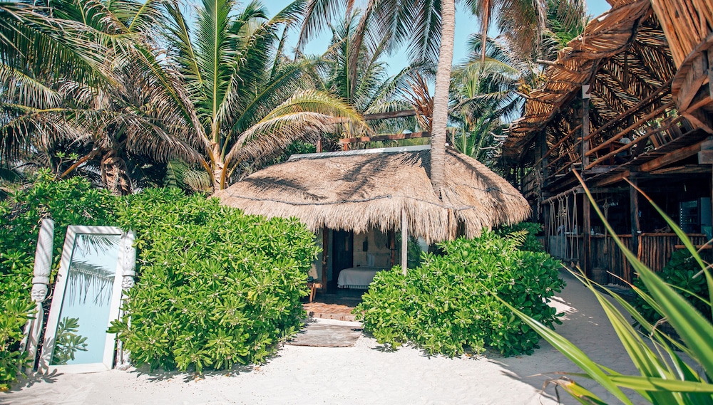 Orchid House Tulum Beach 44/50