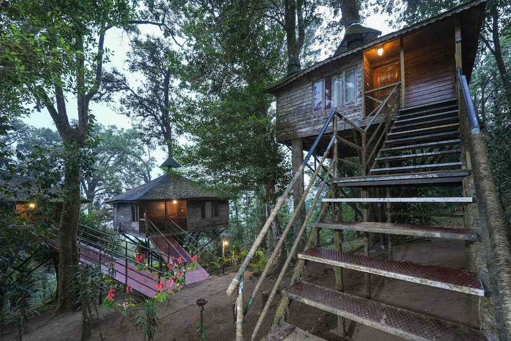 ネイチャー ゾーン ジャングル リゾート(Nature Zone Resort) 写真3