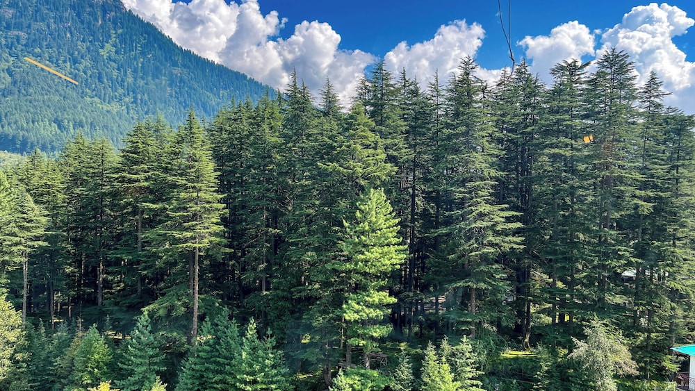 Golden Tulip Manali 85/92
