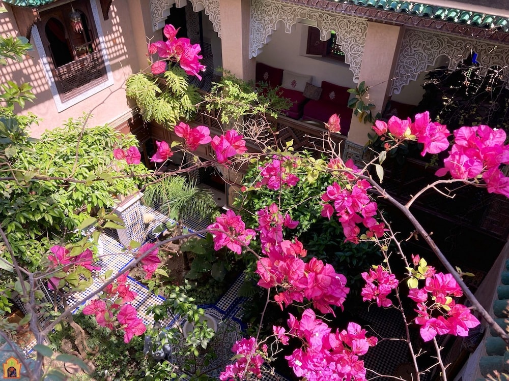 Riad TOYOUR 43/50