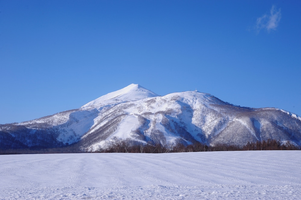 NISEKO Inn of Youtei Raku Suisan 45/49