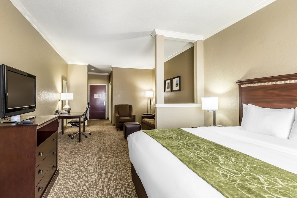 EFFICIENCY, SUITE, KING BED