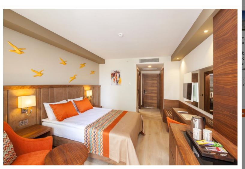 STANDARD ROOM SNG