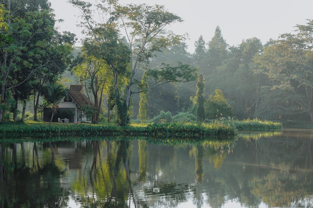 Sappraiwan Elephant Resort & Sanctuary 46/50