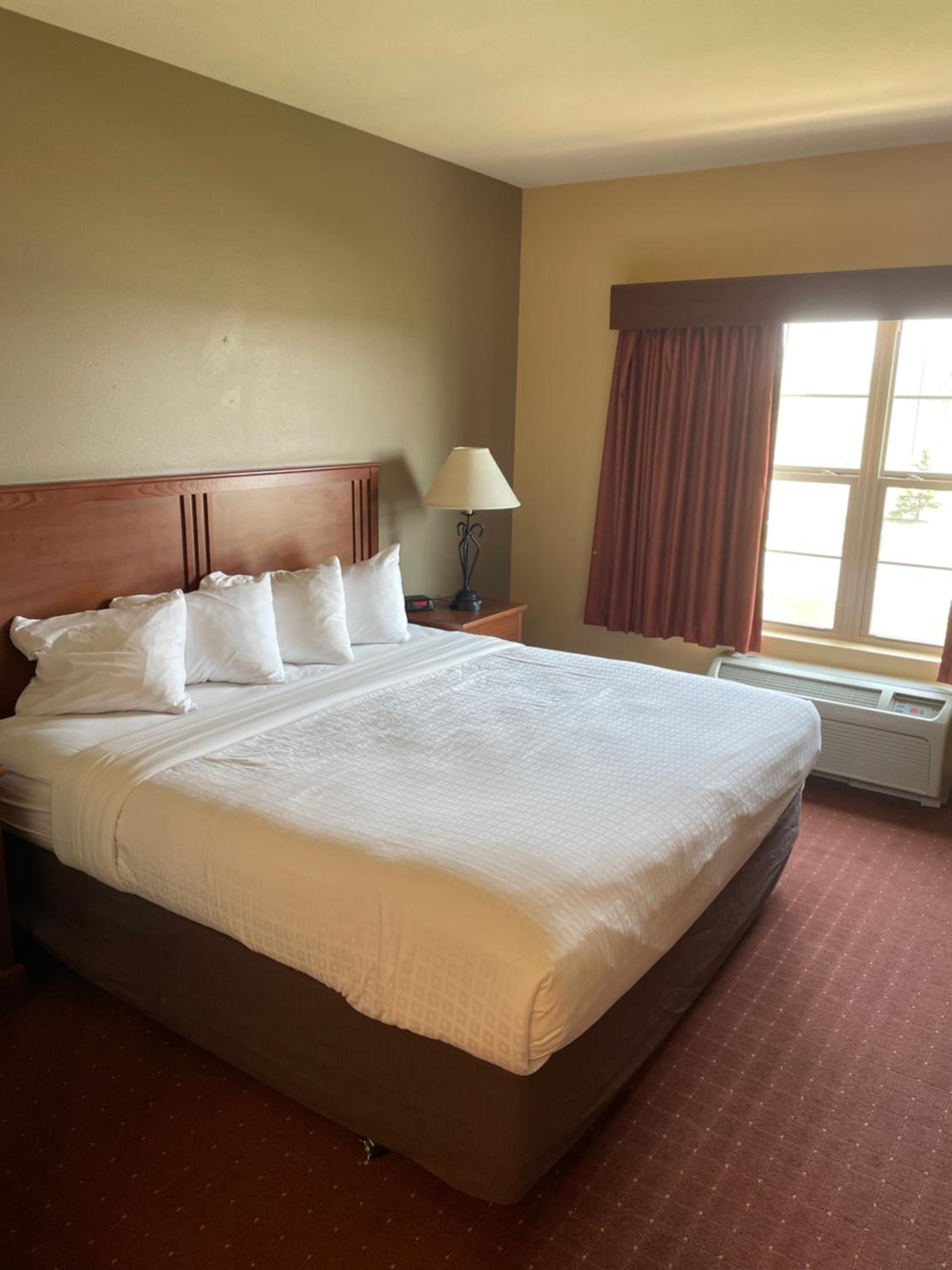 Efficiency, King Bed, Kitchen