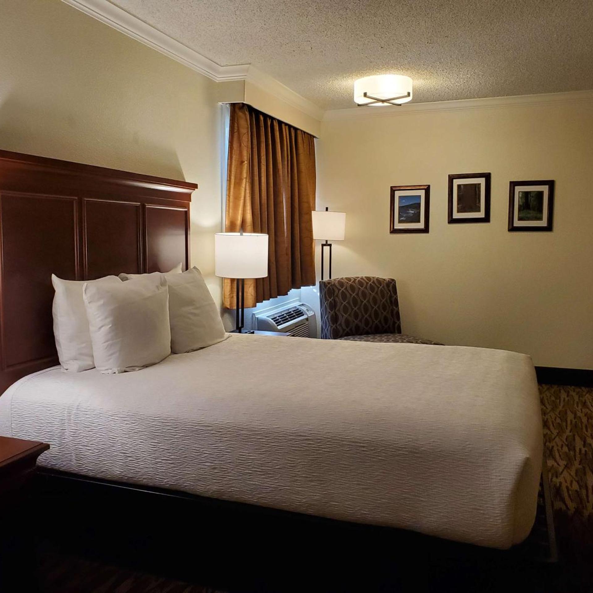 Room, Queen Bed
