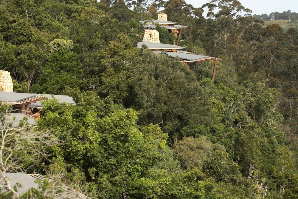 Tsala Treetop Lodge 40/50