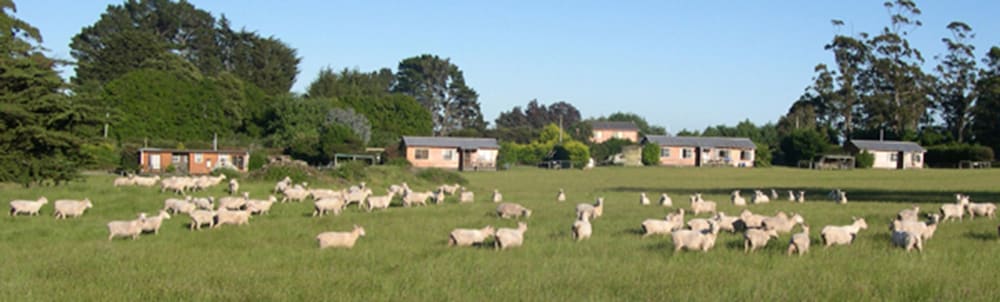 AAA GRANARY ACCOMMODATION-THE LAST RESORT 55/63