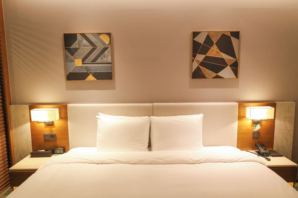 Hotel Skypark Central Seoul Pangyo 23/65