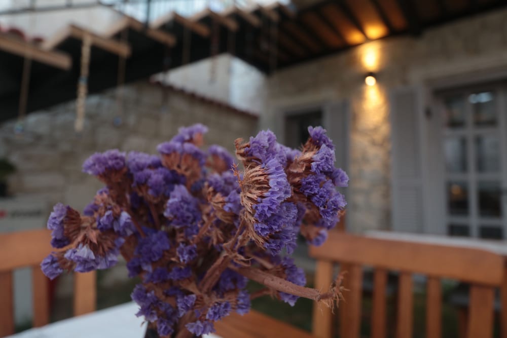 Alacati Cona Butik Otel 20/50