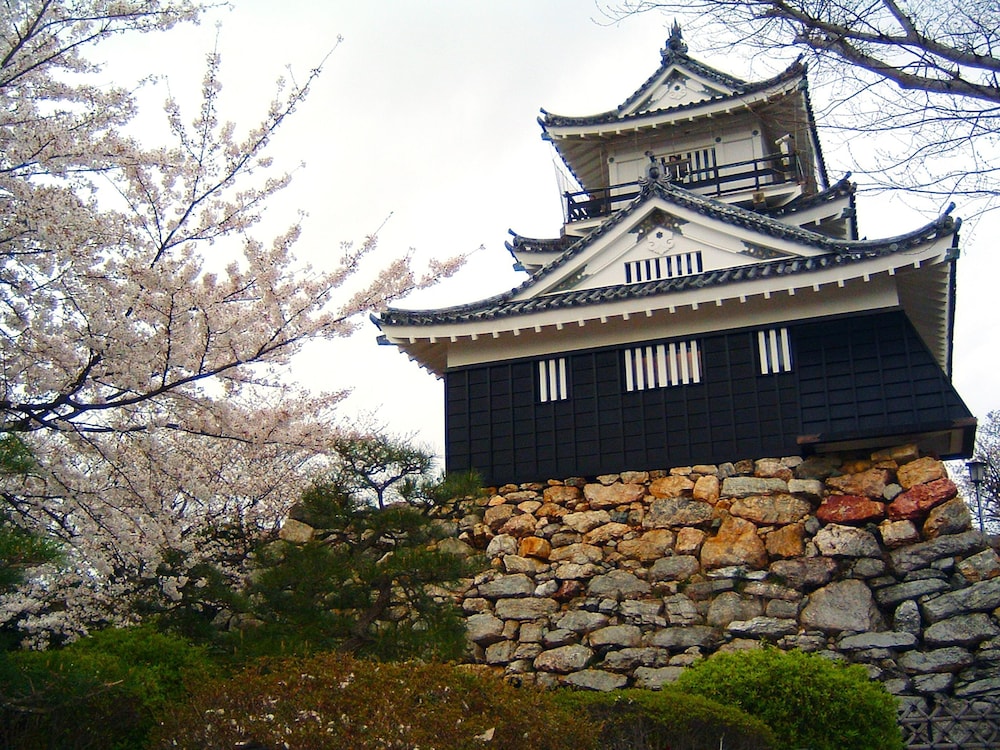Grand Hamamatsu 6/49