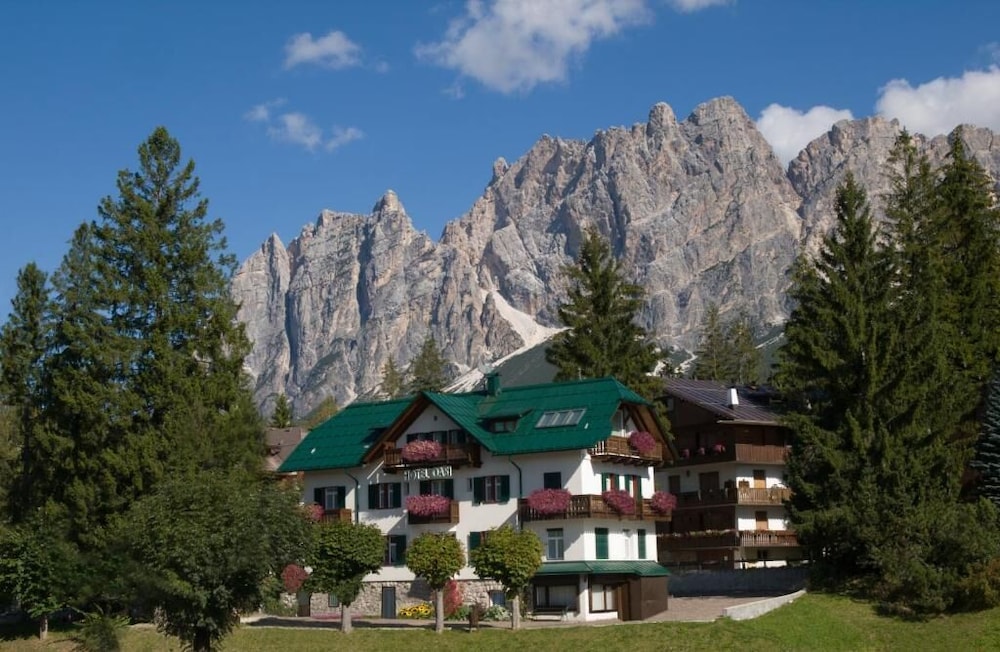 Hotel Oasi 6/50