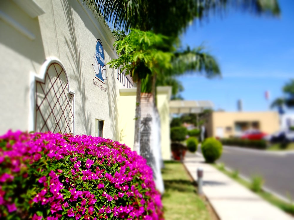 Hotel Las Palomas Tepic Express 16/66
