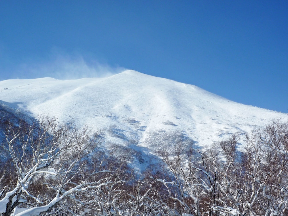 Niseko Park Hotel 47/50