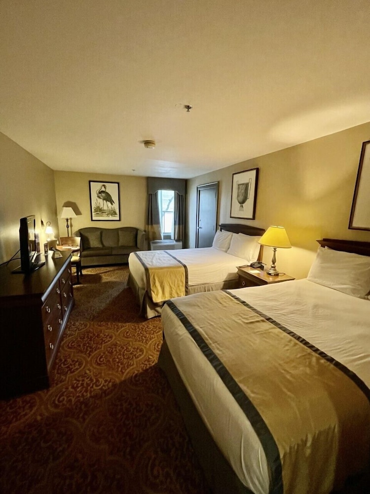 Greenville Inn Suites 26/67