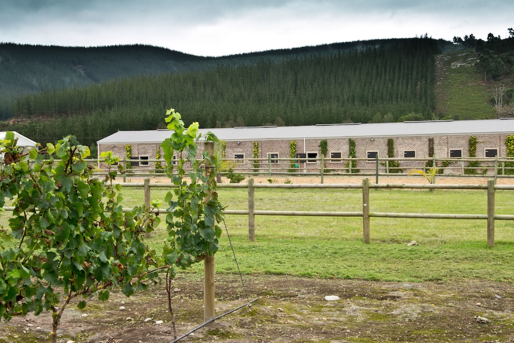 Rare Earth Country House 22/28