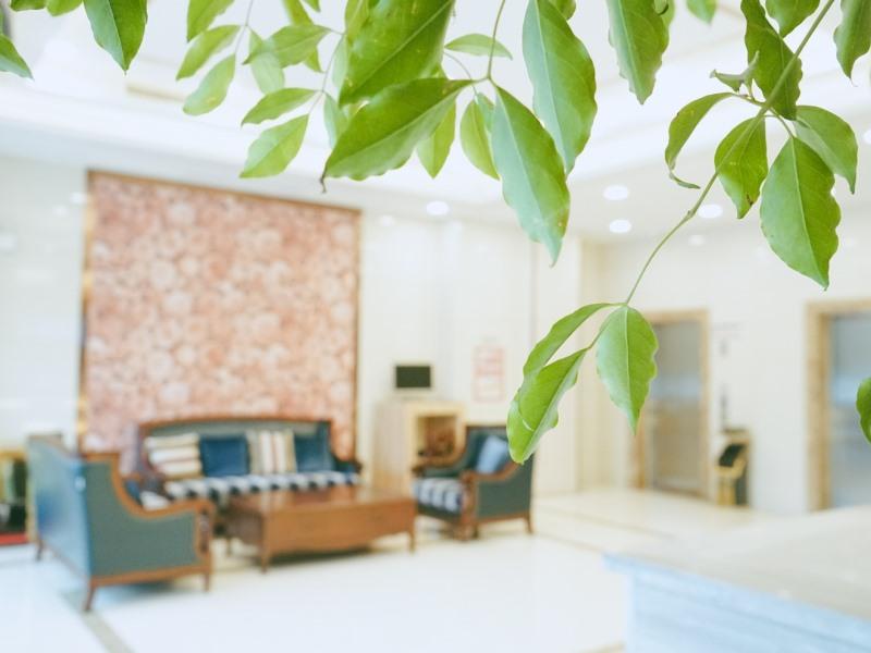 GreenTree Inn Jining Rencheng Area Jinyu Road Meikailong Express Hotel 10/39