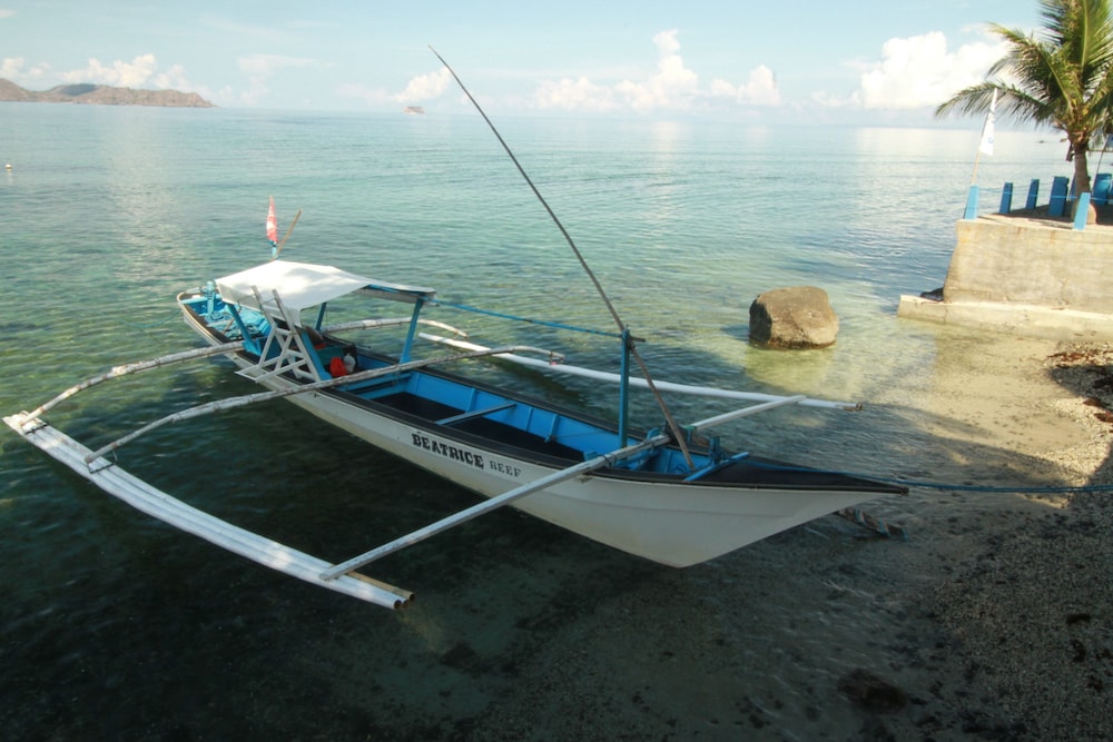 Altamare Dive and Leisure Resort Anilao 45/49