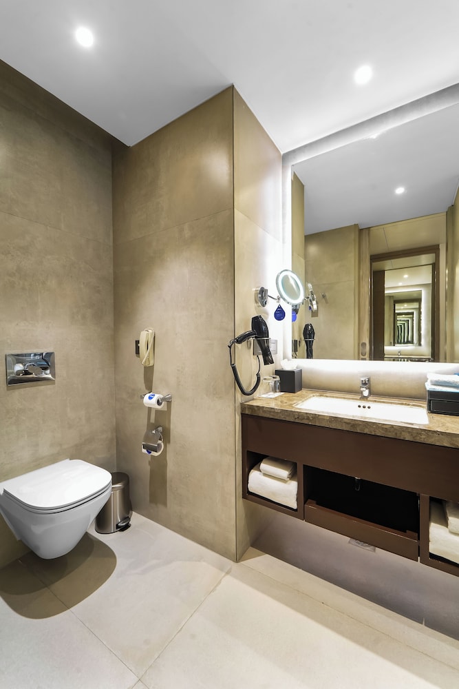 Radisson Blu Towers Kaushambi Delhi NCR 44/45