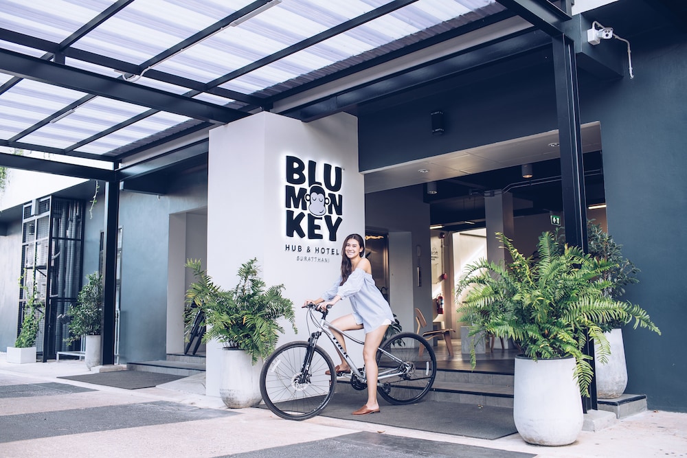 Blu Monkey Hub and Hotel Suratthani 5/50