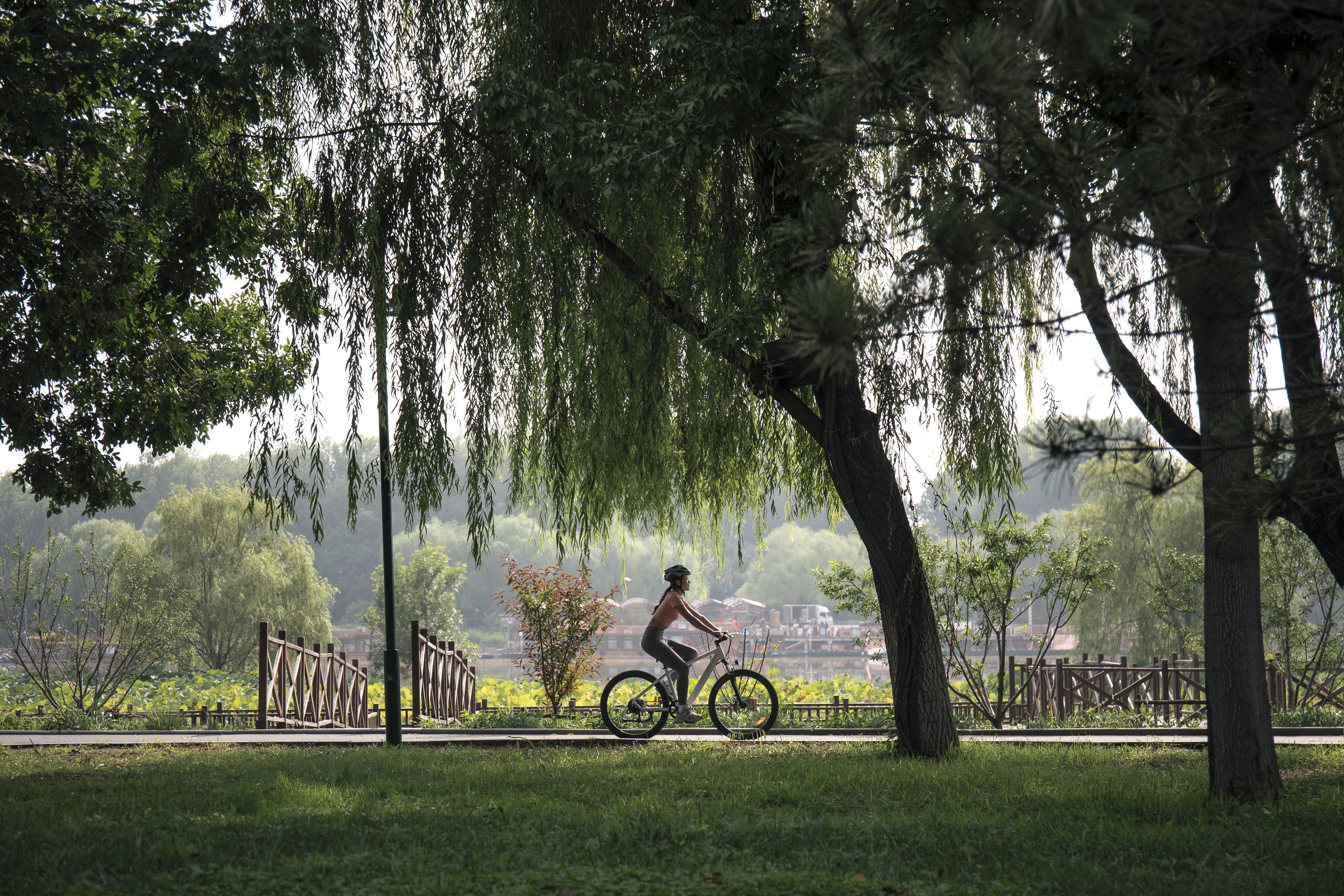 Crowne Plaza Beijing Tongzhou by IHG 43/50