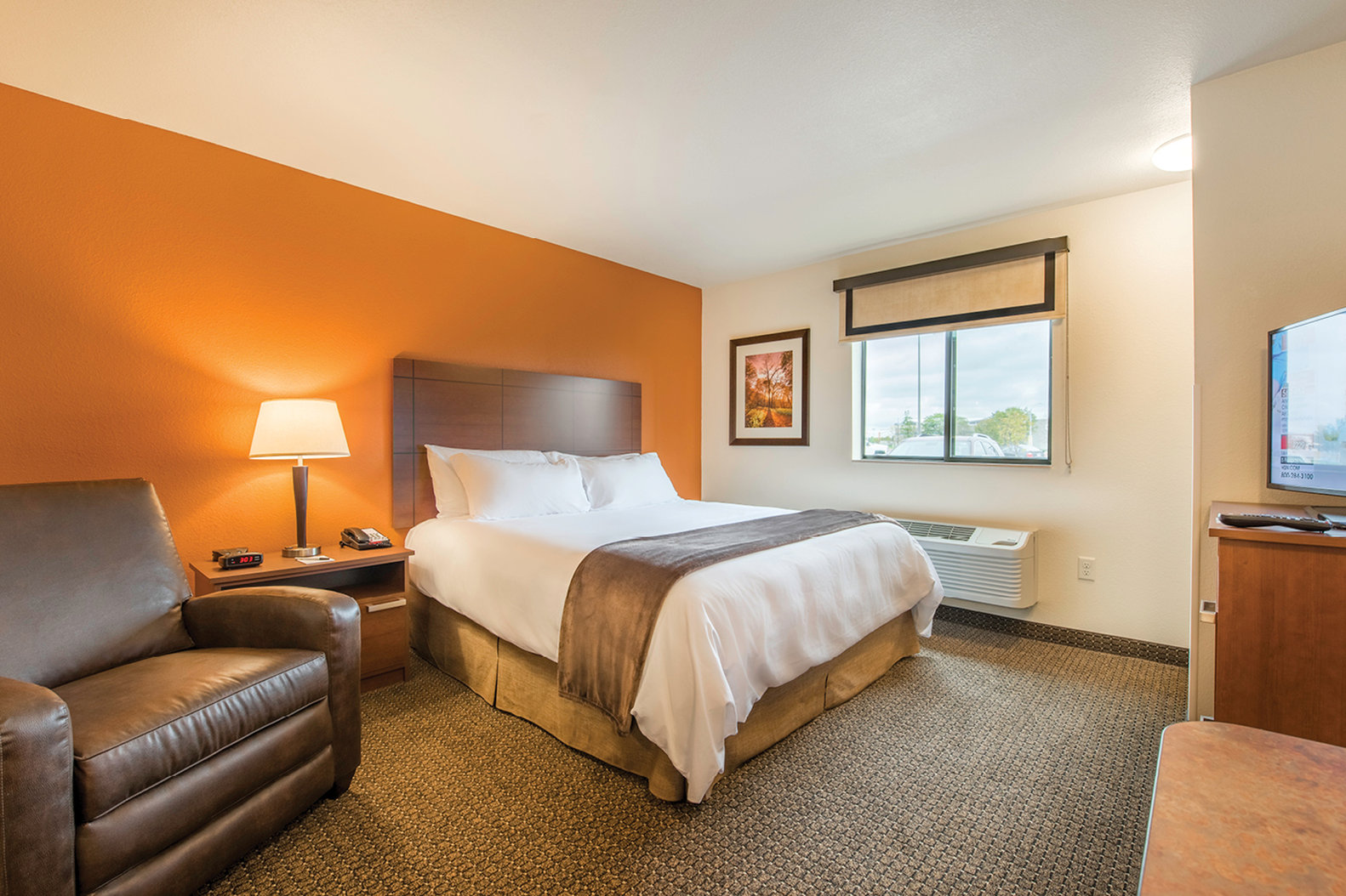 My Place Hotel-Hastings 5/15