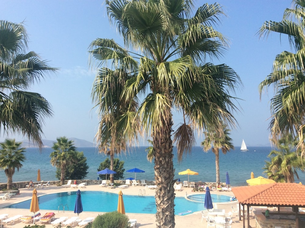 Irina Beach Hotel 55/68