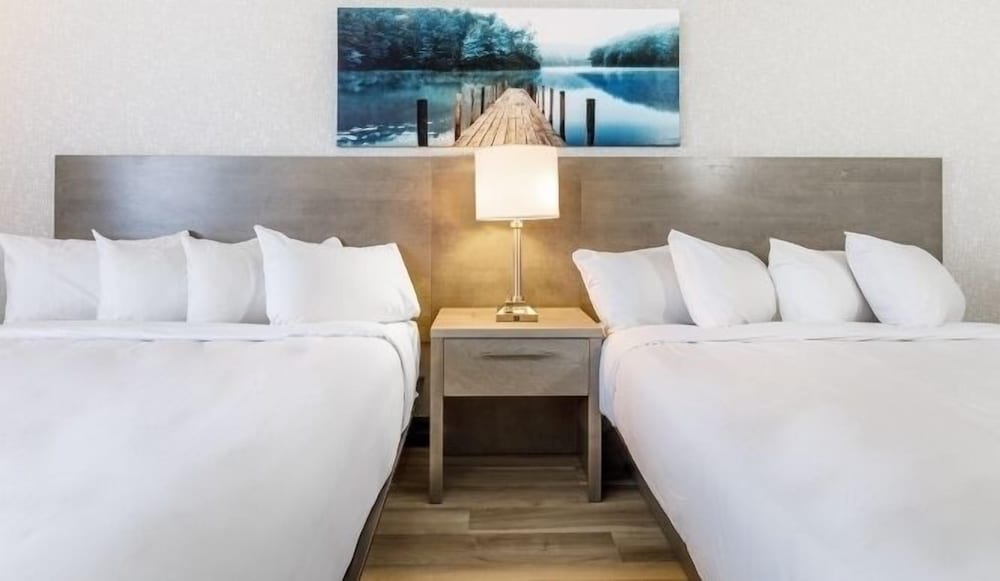 Repotel Levis 26/48
