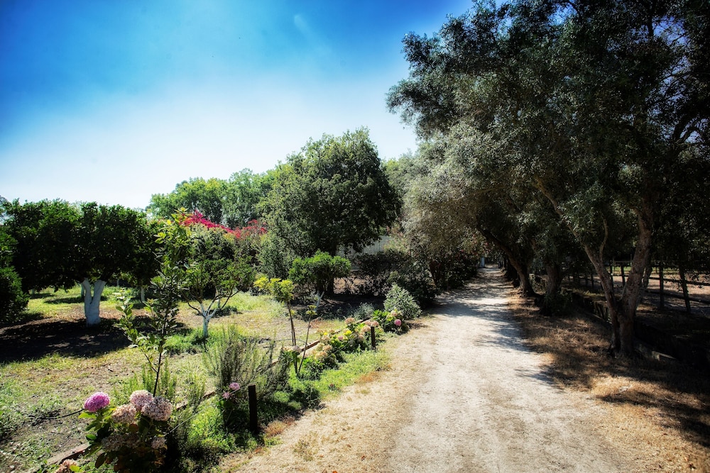 surroundings