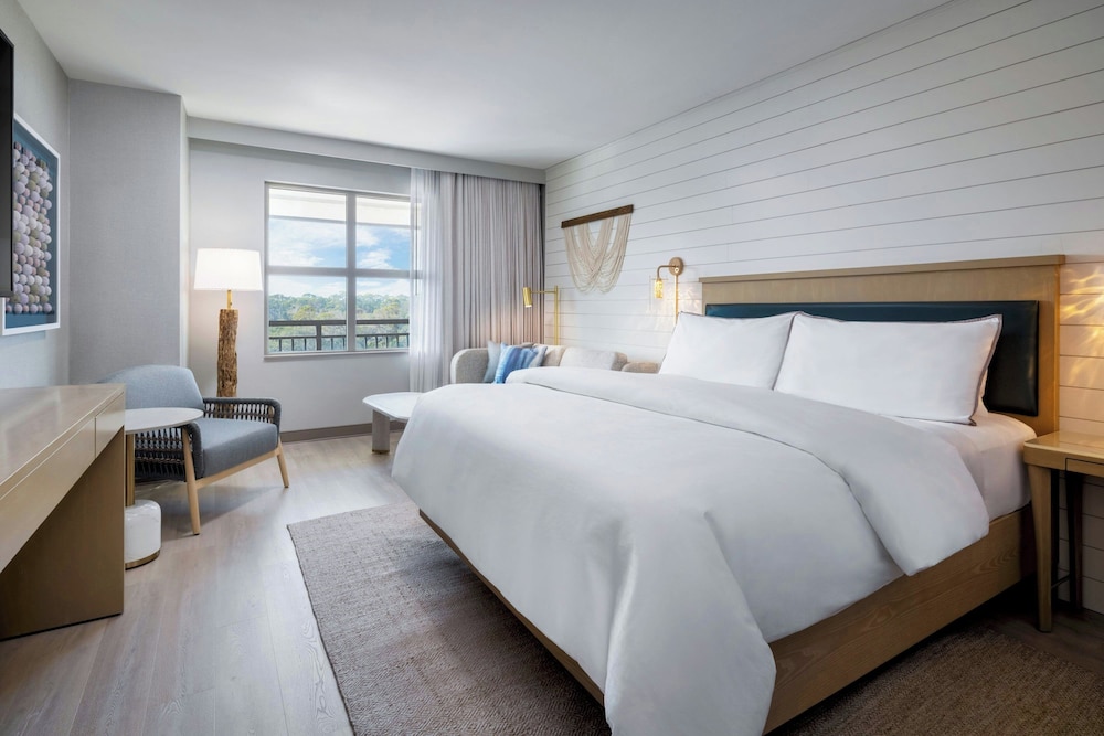 Island, King Bed, Sofa, Accessible
