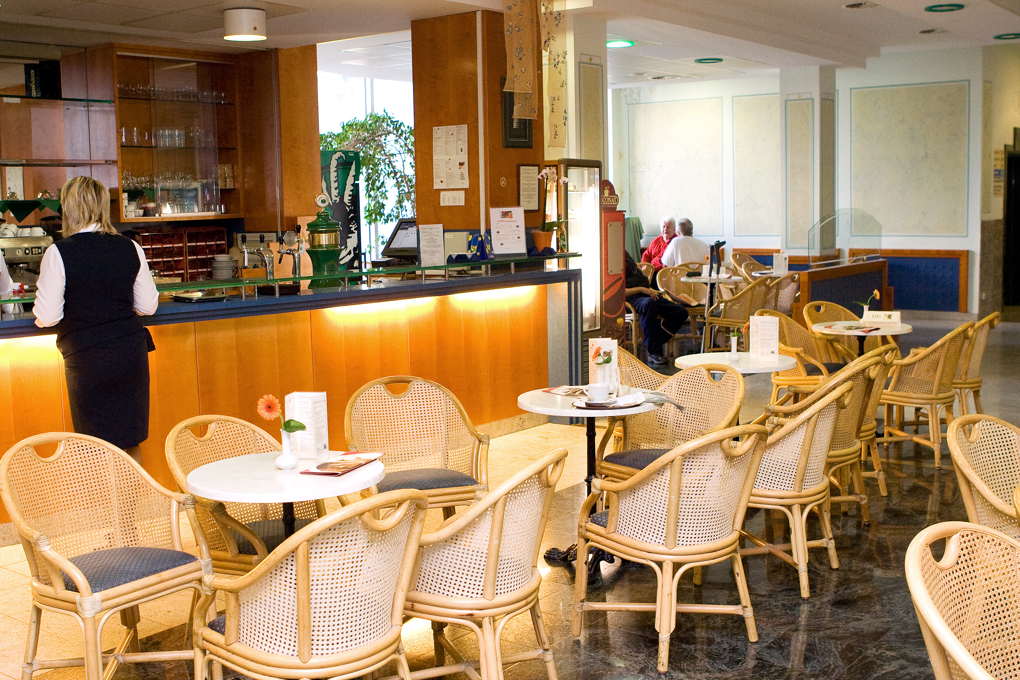 Hotel Zdravilisce Lasko 36/50