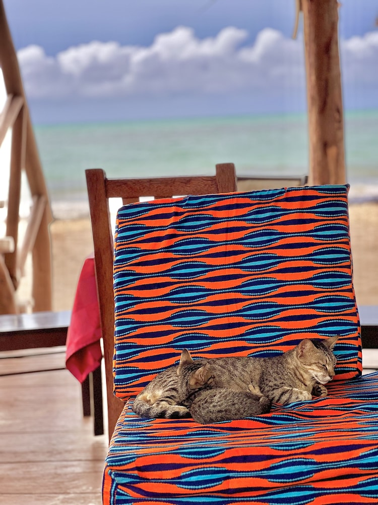 Jambiani White Sands Beach Bungalows 65/68