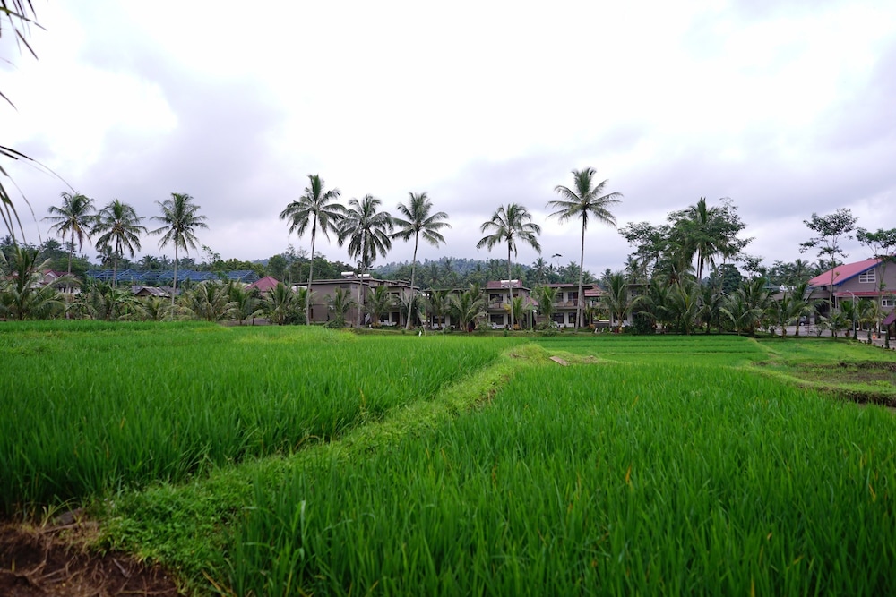Grand Harvest Resort and Villas 65/75