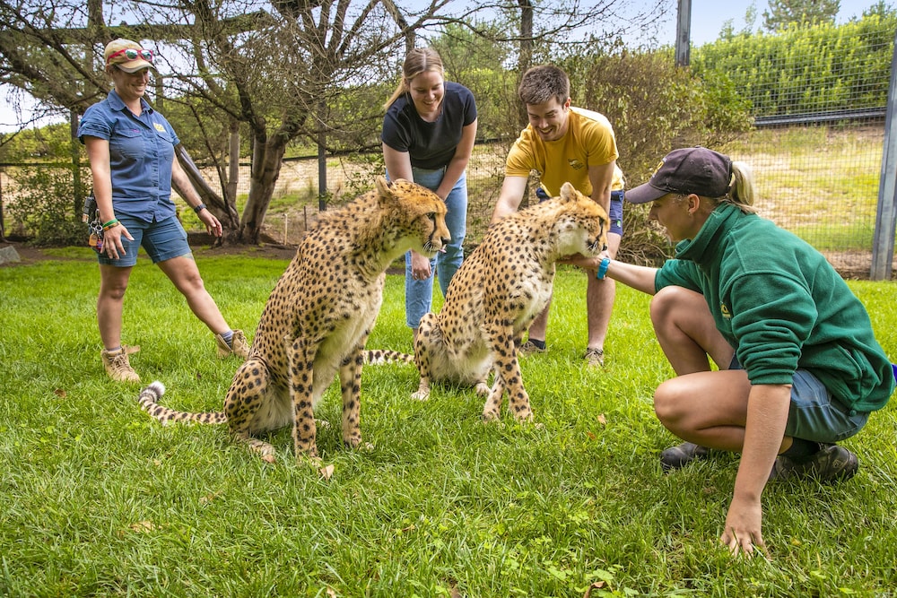 JAMALA WILDLIFE LODGE 34/50