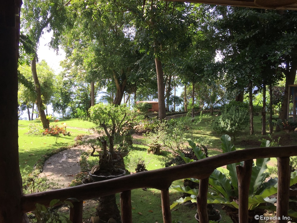 Bohol Lahoy Dive Resort 32/47