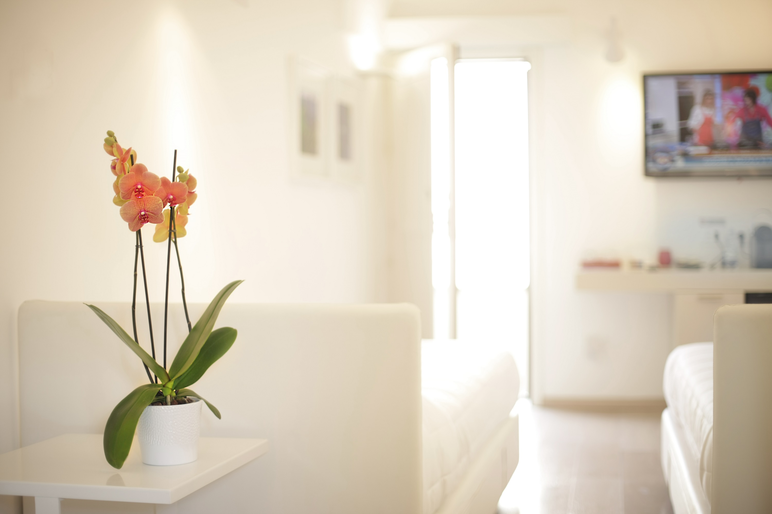 SANTACROCE LUXURY ROOMS 39/48
