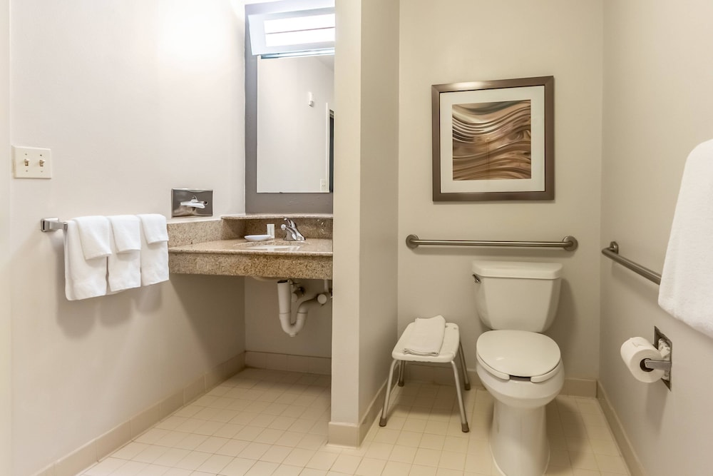 Courtyard By Marriott Dallas Dfw Airport South Irving 31/33