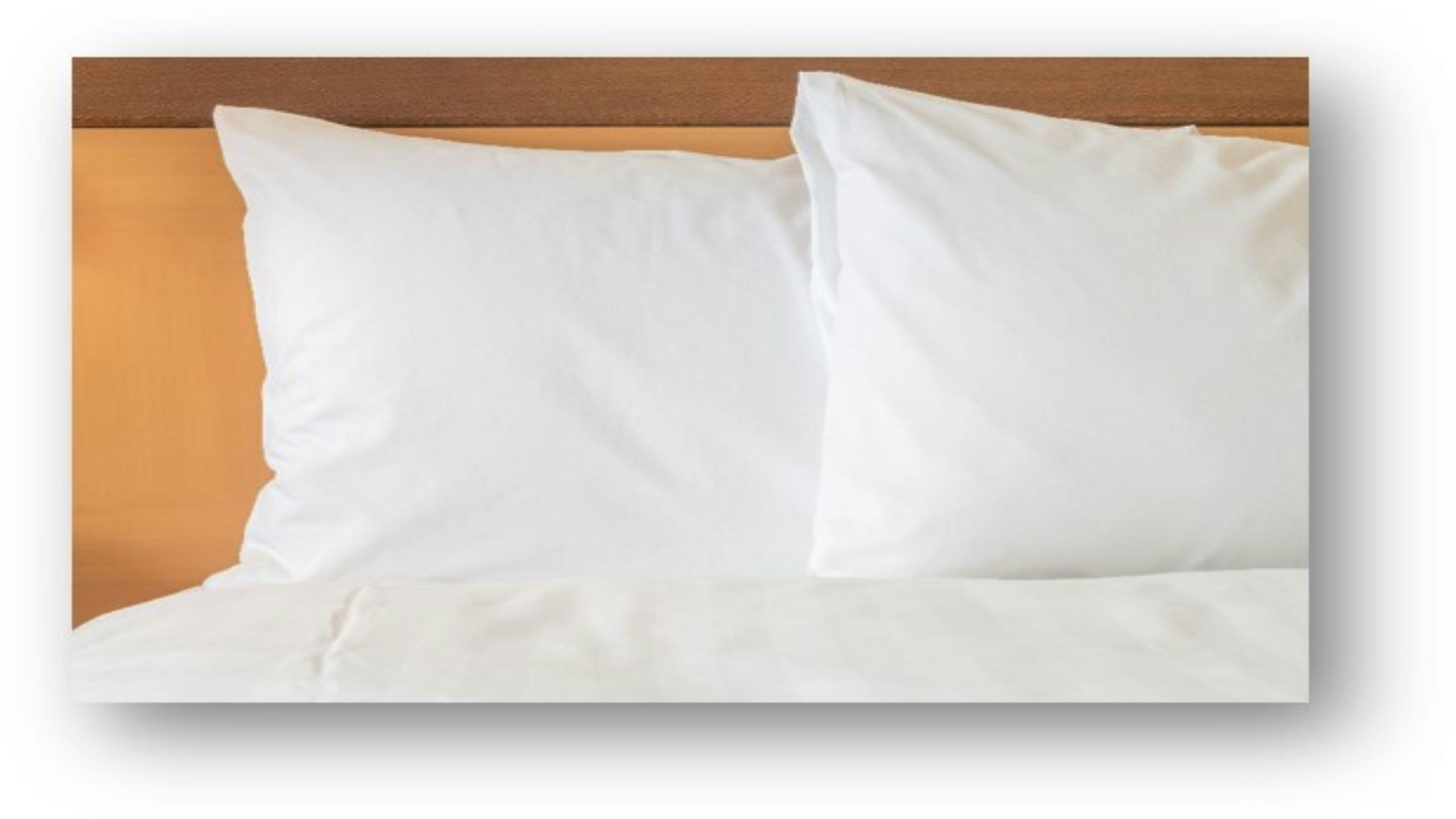 Holiday Inn Riverview 23/59