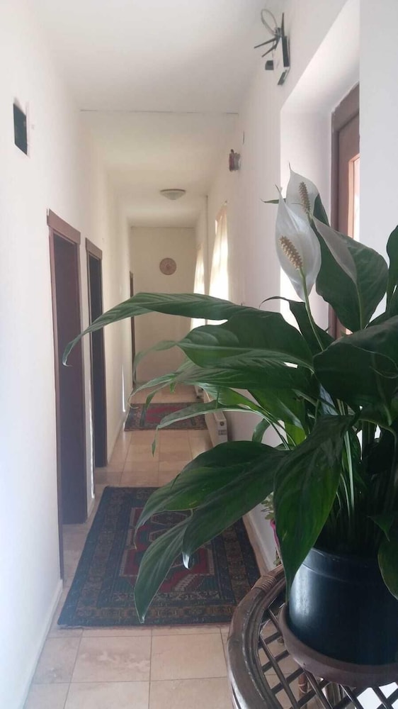 Sena Hotels 8/63