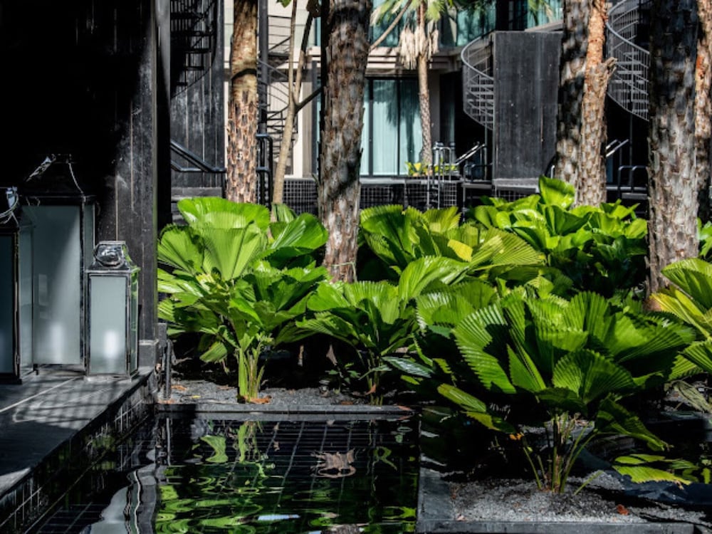 Areca Resort Spa 68/70