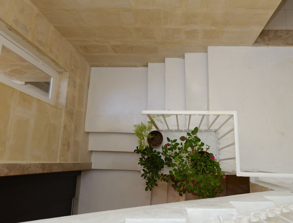 Paulos Valletta 5/50