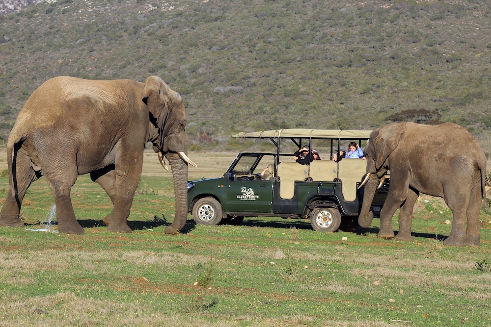 Garden Route Game Lodge 57/74
