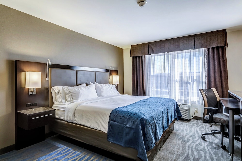 Standard, King Bed, Accessible