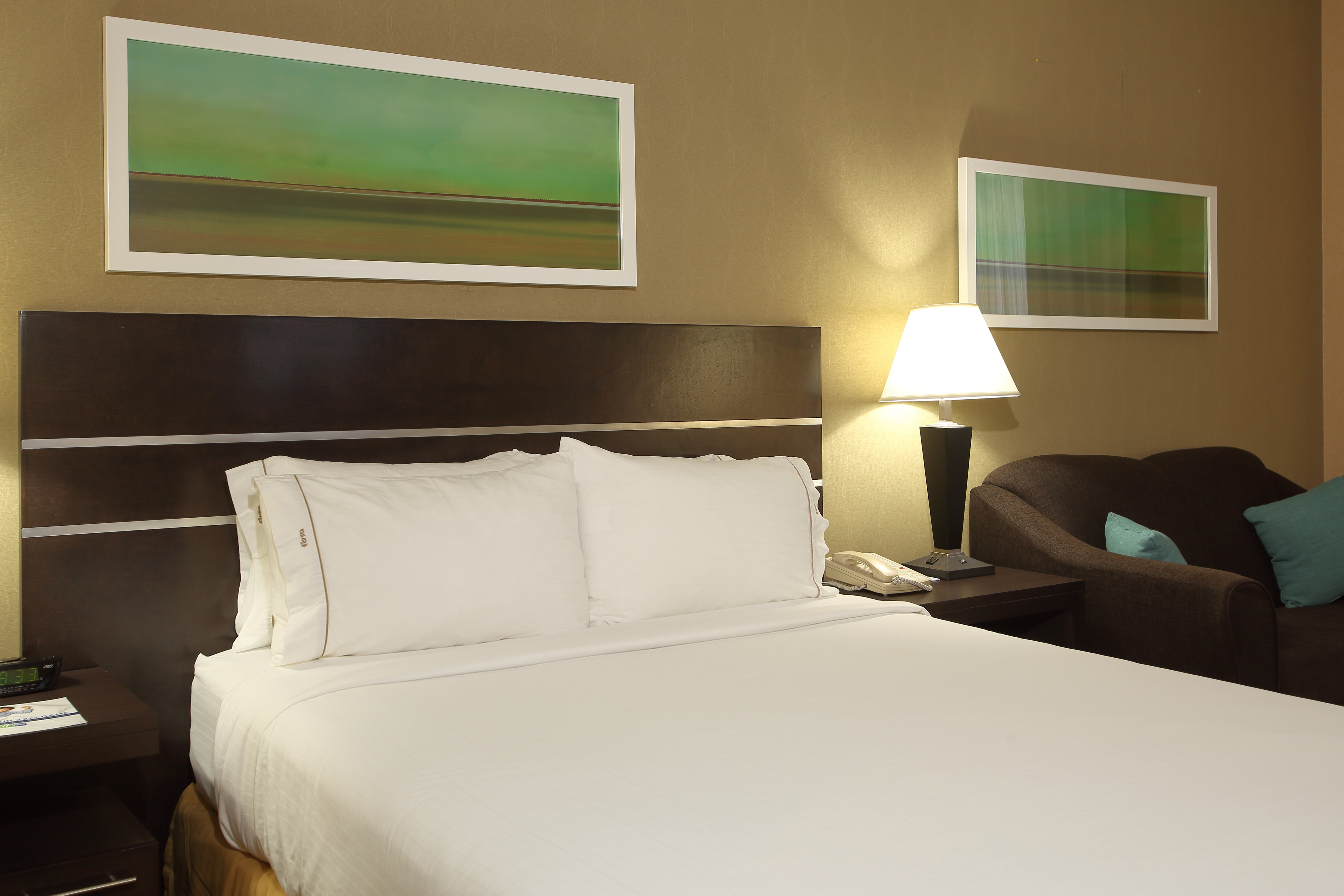 Holiday Inn Express Vernon 32/61