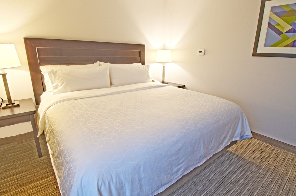 Holiday Inn Express Hotel And Suites Chicago Libertyville 14/63