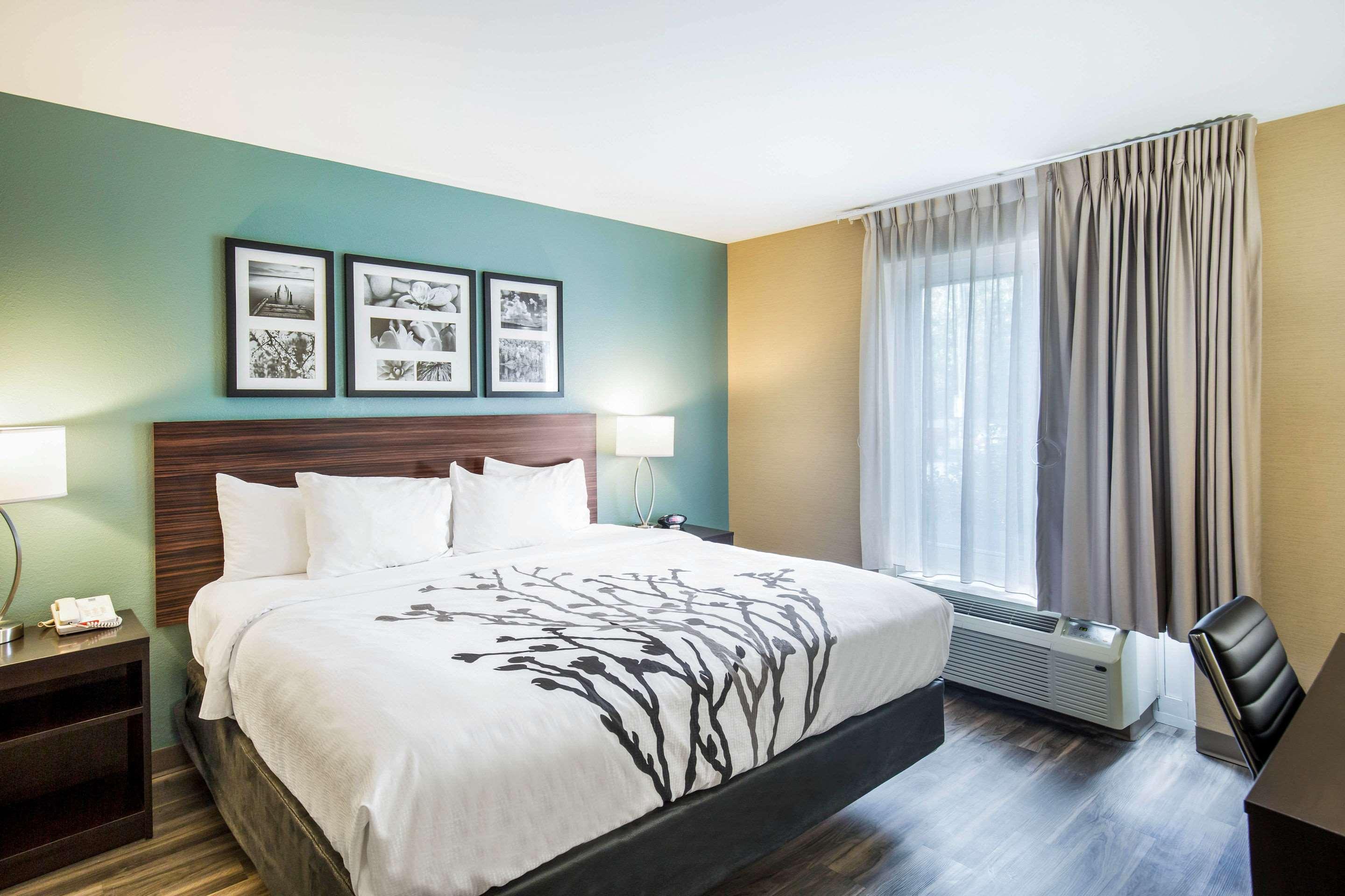 Upgrade, Suite, King Bed