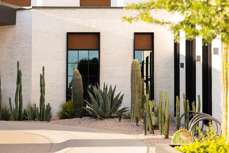 Senna House Scottsdale, Curio Collection by Hilton 6/42